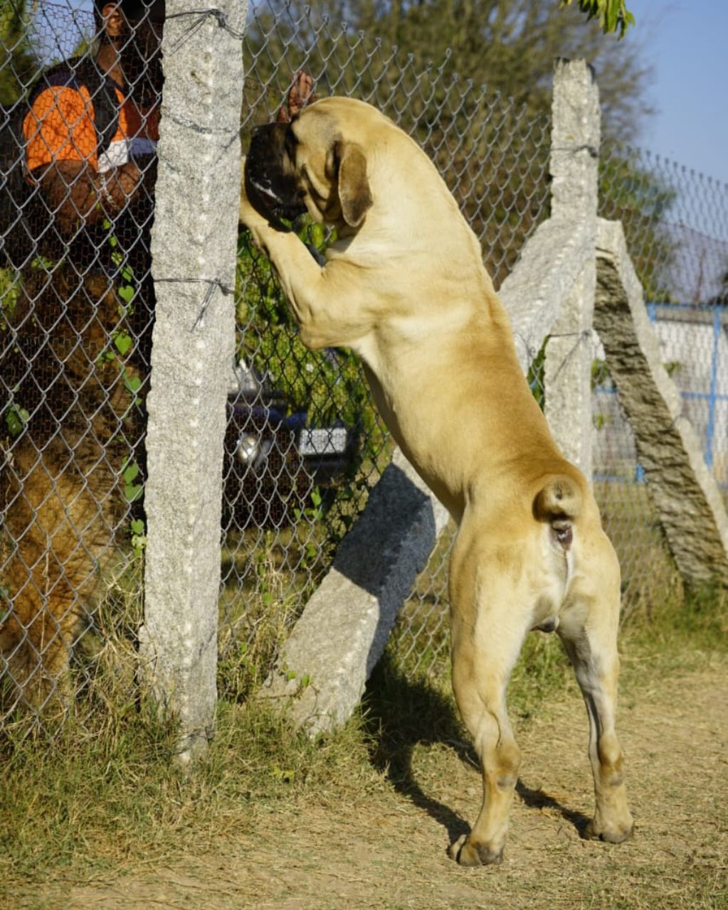 Untitled design (34)