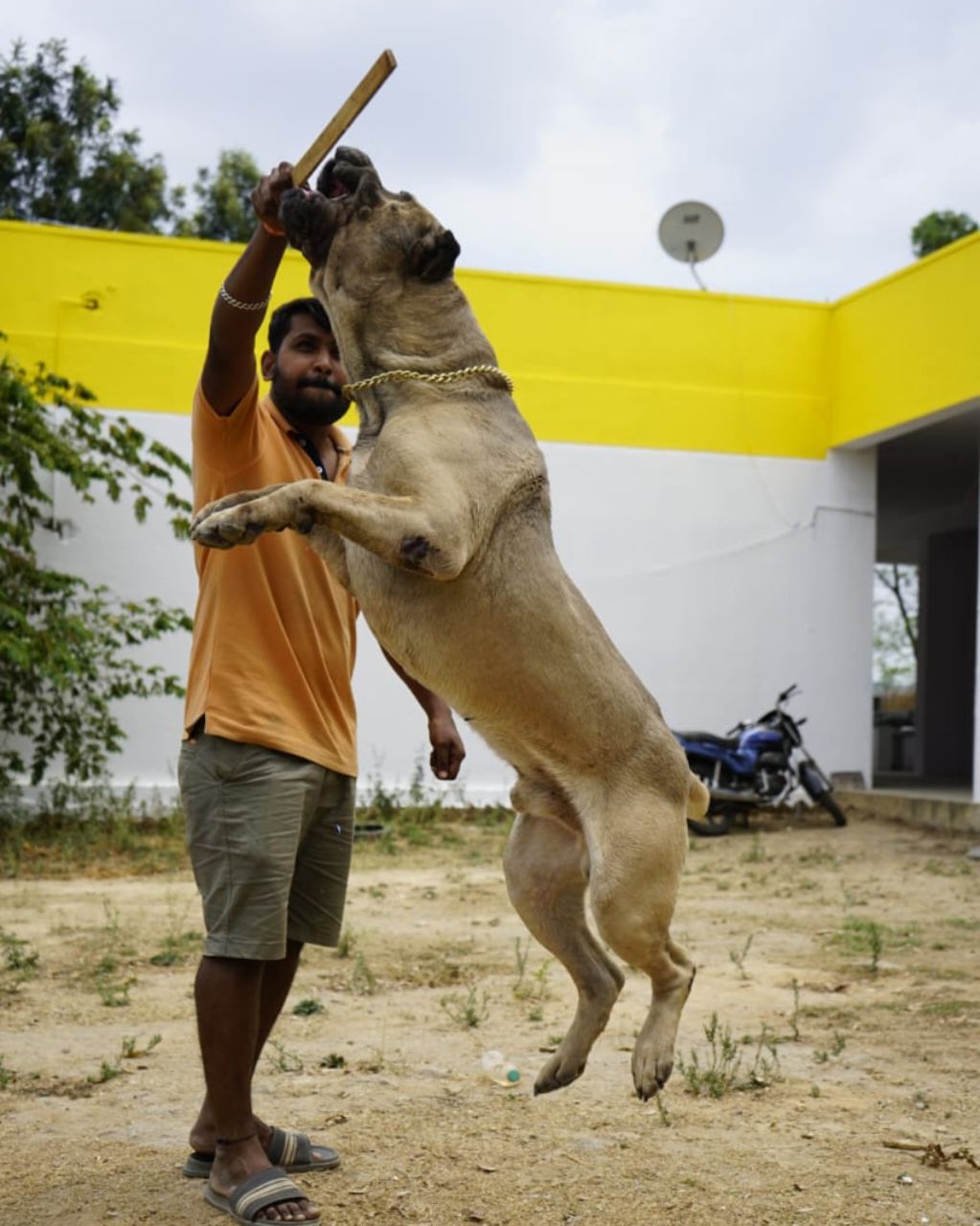 Untitled design (35)