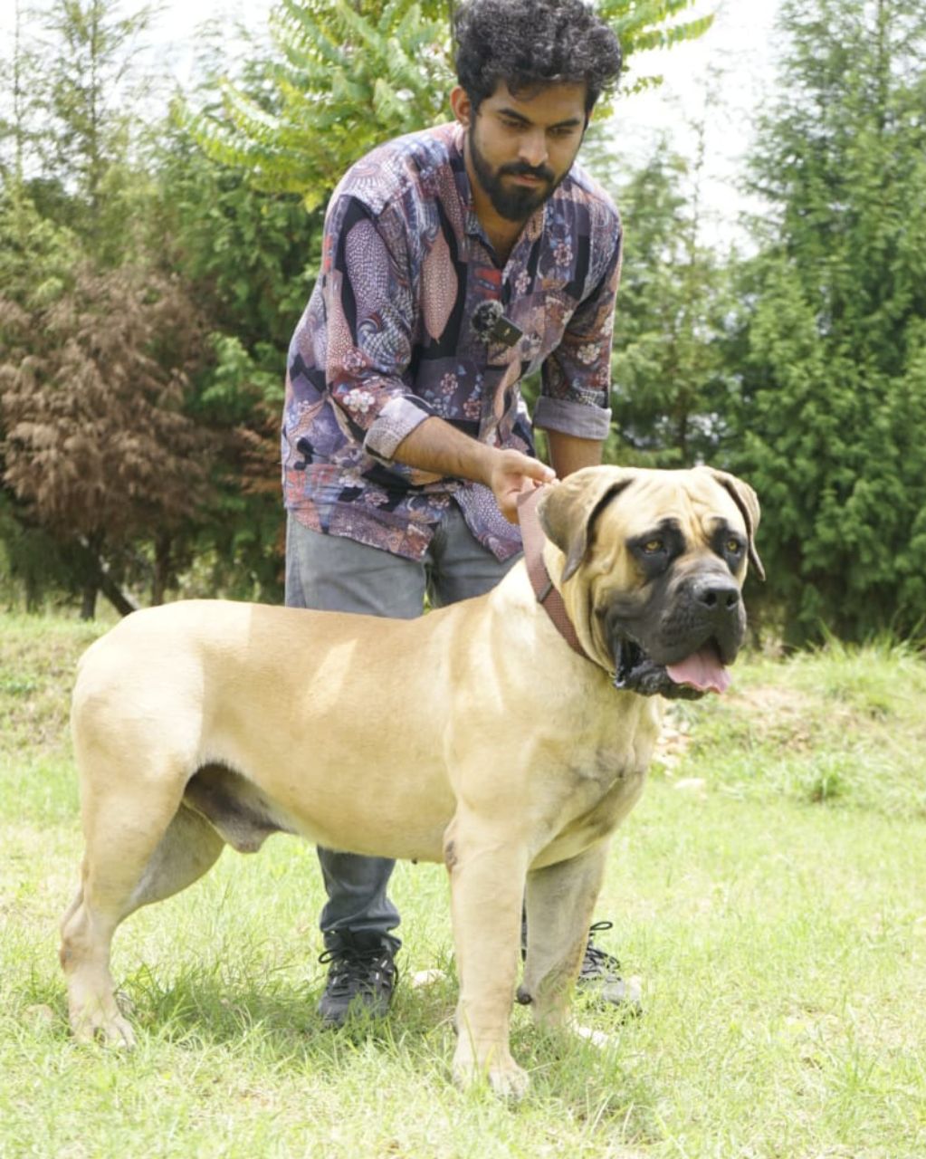 Untitled design (36)