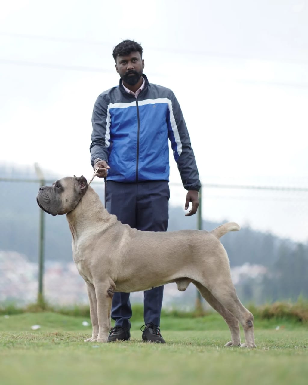 WhatsApp Image 2025-11-26 at 4.29.30 PM (1)