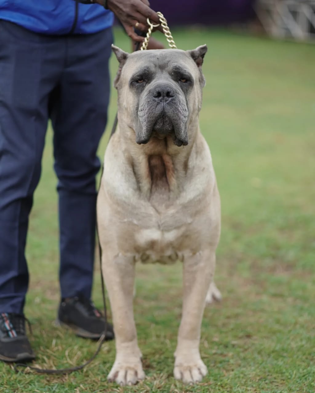 WhatsApp Image 2025-11-26 at 4.29.30 PM