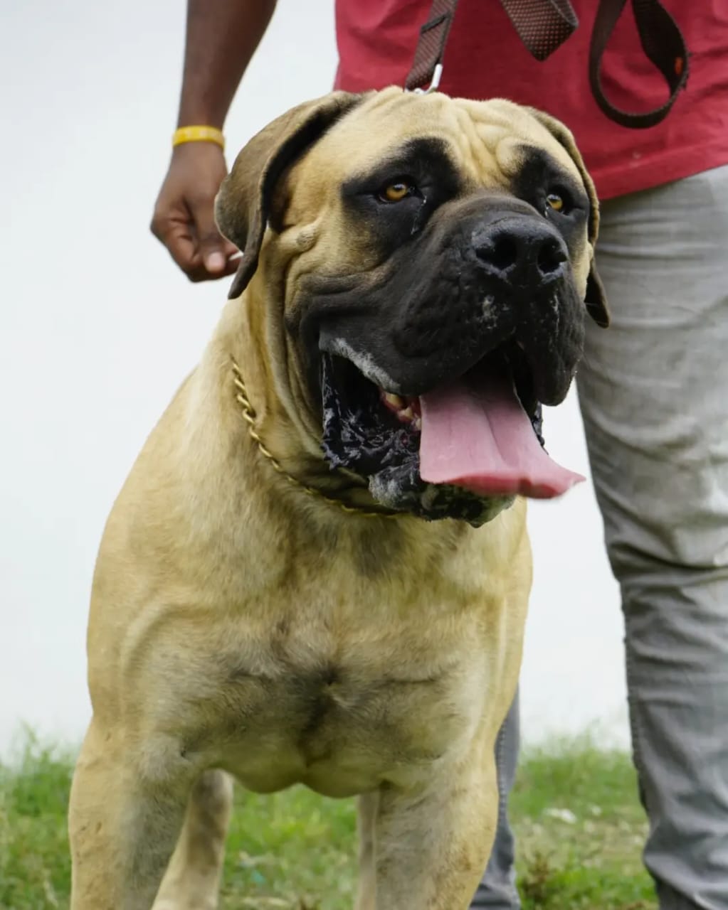 WhatsApp Image 2025-11-26 at 4.29.33 PM