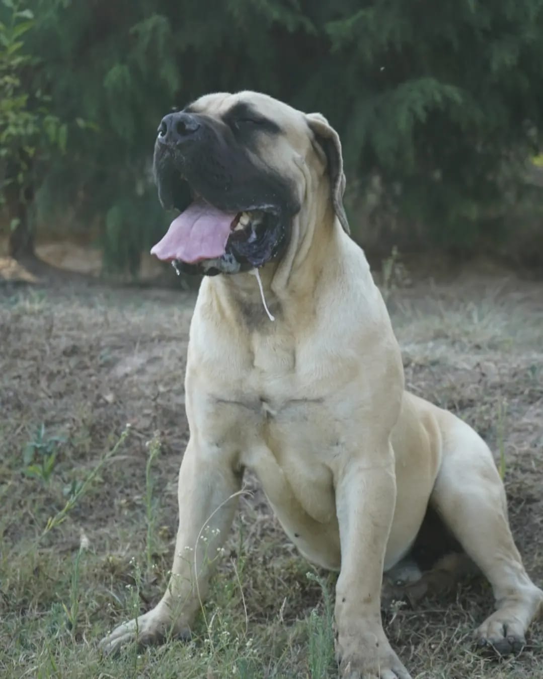 WhatsApp Image 2025-11-26 at 4.29.42 PM