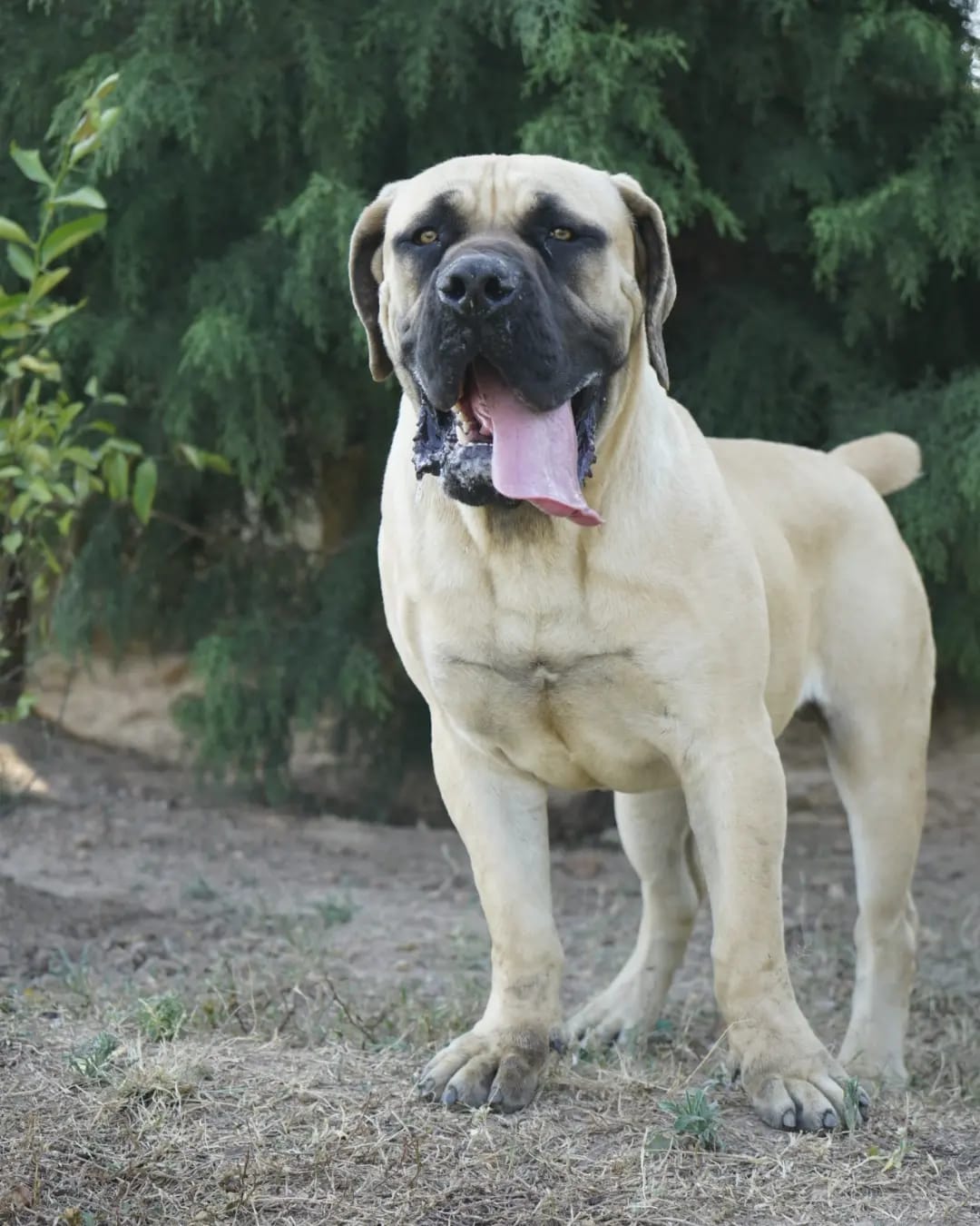 WhatsApp Image 2025-11-26 at 4.29.43 PM